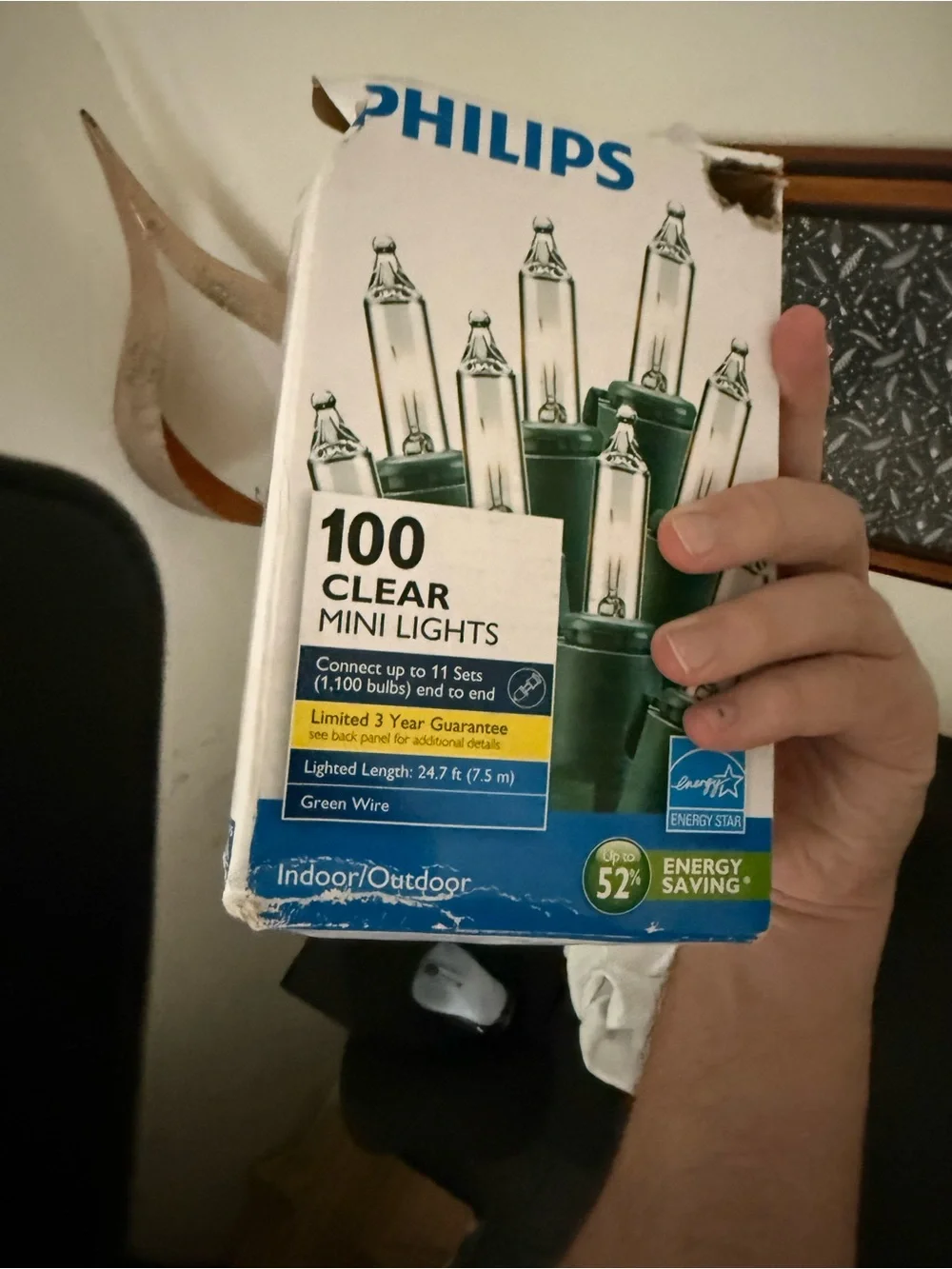 Philips Clear Mini String Lights with Green Wire